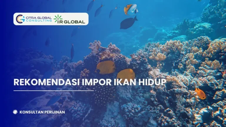 Rekomendasi Impor Ikan Hidup